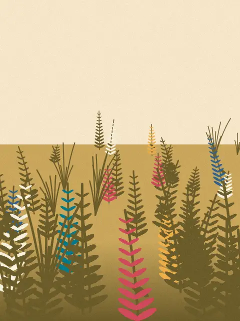 Fronds design bbec: botanical fronds art print in the Late Summer palette, flora ferns, density sparse
